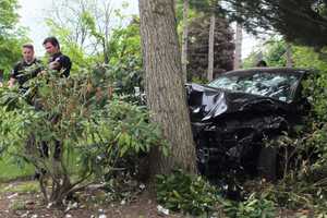 HEAD SCRATCHER: Driver Hospitalized After Tree Crash In Paramus Jams Sedan In Tight Spot