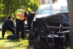 Minivan Slams Into Paramus Tree: Driver Hospitalized, Wheelchair-Bound Passenger OK