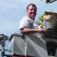 <p>Frank Mortimer is the bees&#x27; knees when it comes to harvesting a hive.</p>