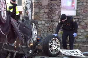 PHOTOS: SUV Rollover Takes Out Tree, Speed Sign In Hawthorne