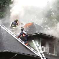 PHOTOS: Dogs Rescued After Lightning Strike Ignites Attic Fire In Ridgewood