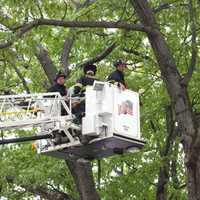 Paramus Firefighters To The Rescue, But It Wasn't A Cat Caught In A Tree This Time