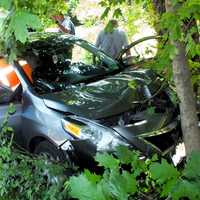 <p>Paramus police and paramedics got the driver out of her sedan and into an ambulance after she crashed into a tree on Ridgewood Avenue late Wednesday morning, July 5.</p>