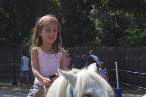 Ridgewood Residents Can Learn To Ride Horses With Ponyshare Program