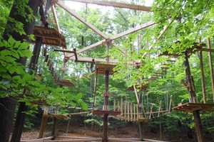 Enjoy Birthday Parties In The Treetops At The Adventure Park in Bridgeport