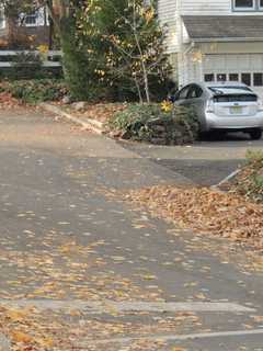 Demarest Leaf Collection Changing To Bags