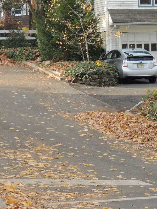 Demarest Leaf Collection Changing To Bags