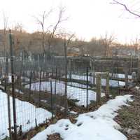 <p>Member plots are carefully marked off and fenced.</p>