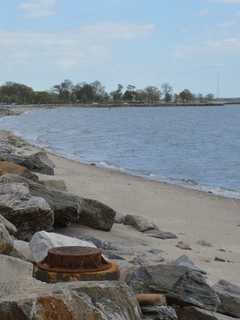 Bone Found At Seaside Park Not Human, Police Say