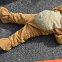 <p>Trick-or-treating proves exhausting for one young participant in Ridgefield.</p>