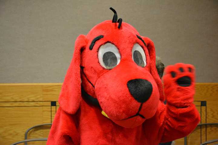 Book Festival, Bake Sale In Store For Chappaqua On Saturday