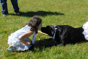 Pucker Up At West Milford Shelter Walk-A-Dog-Athon