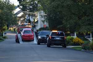 K-9 Officer Tracks Down Suspect After Police Car Pursuit Ends In Southport