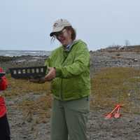 <p>Jennifer Mattei, Ph.D., oversees the planting of sea grasses at Stratford Point.</p>