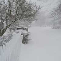 <p>No plows had visited Hackley Street in Bridgeport Thursday morning, as blustery snow continued to blanket the area.</p>