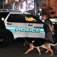 <p>Bergen County Sheriff’s Officer Ryan O’Neil and Max were on the case following the stolen car crash in Paramus.</p>