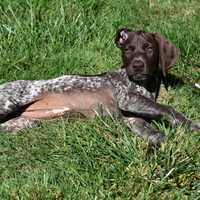 <p>Billie is ready for the total solar eclipse.
  
</p>