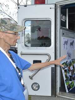 911 For Pets: Shelton-Based Ambulance Offers Free Service Statewide