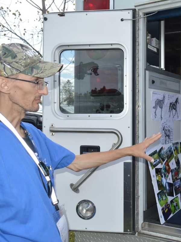 911 For Pets: Shelton-Based Ambulance Offers Free Service Statewide
