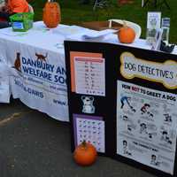 <p>Displays at the DAWS Fall Festival in Bethel.</p>