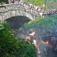 <p>Rye players celebrate by jumping in the creek, after beating Harrison.</p>