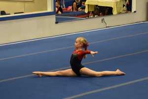Darien YMCA Gymnasts Shine At Championships