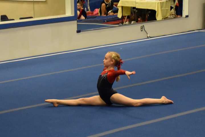 Darien YMCA Gymnasts Shine At Championships