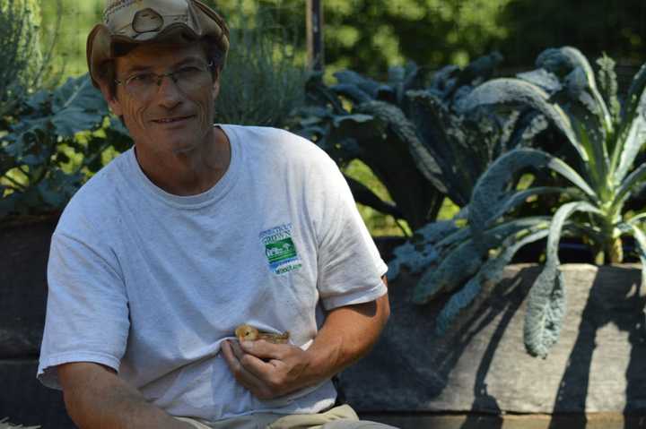 Kevin Meehan holds a baby chick at Ambler Farm in Wilton Thursday.