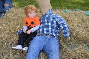 'Tis Season For Making Scarecrows In Haworth