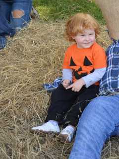 Shelton's Oronoque Farms Celebrates Fall By Stuffing Scarecrows