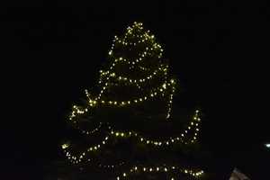 Tree Lightings, Shops' Holiday Gatherings Planned In Bedford's Hamlets