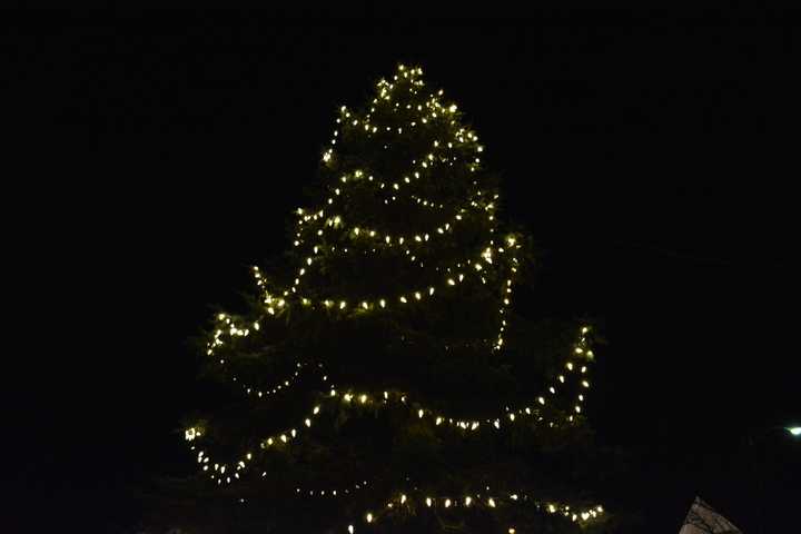 Tree Lightings, Shops' Holiday Gatherings Planned In Bedford's Hamlets