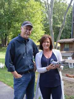 'Denise' The Wayward Winged One Is Reunited With Owner In Fairfield