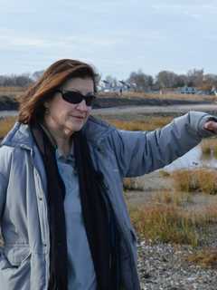 Sacred Heart University Prof Stems The Tide Of Erosion On Stratford Coast