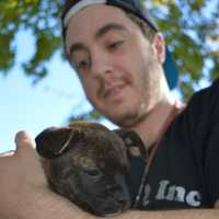 Tenafly Pet Rescue Invites All To Groovy Woofstock Event