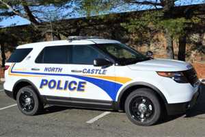 Runaway Dog, Odd Exotic Car Exchange, Top North Castle Police Blotter