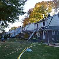 <p>Several hoses snaked down the street and across neighbors yards.</p>