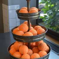 <p>No, they&#x27;re not oranges. A bevy of balls tempts clients at Wag Central in Stratford.</p>