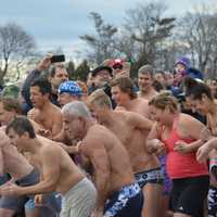 <p>A sizable contingent of swimmers brave the cold and took a plunge into Long Island Sound in Greenwich to celebrate the New Year on Friday afternoon.</p>