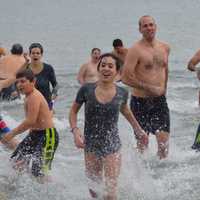 <p>A sizable contingent of swimmers brave the cold and took a plunge into Long Island Sound in Greenwich to celebrate the New Year on Friday afternoon.</p>