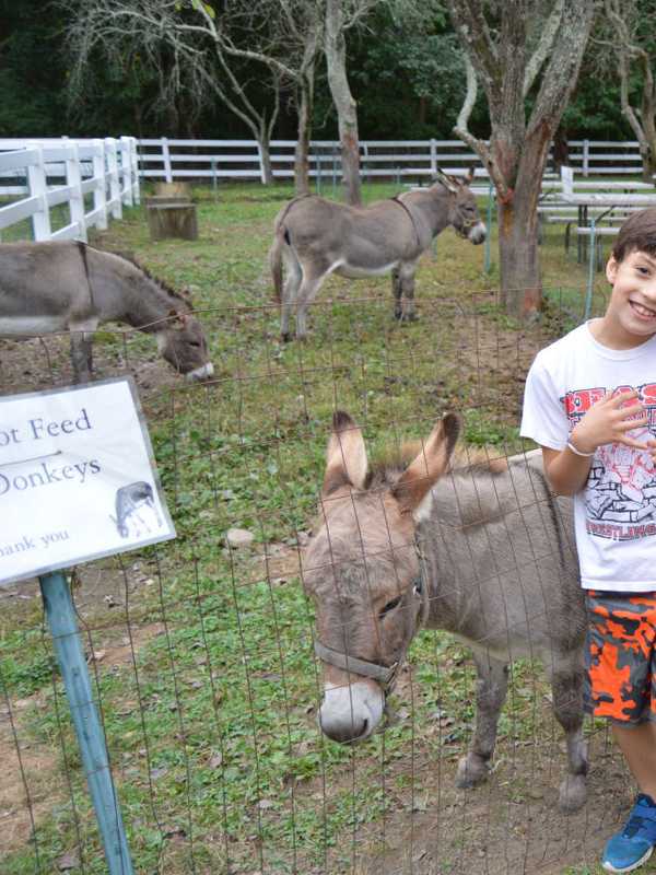 Plasko's Farm In Trumbull Stuffs In The Fall Fun At Scarecrow Festival