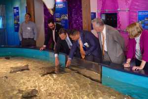 DEEP Commissioner Explores Maritime Aquarium In Norwalk