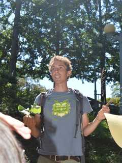 Forager Digs Up Food On 'Eat Your Weeds' Walk In Westport