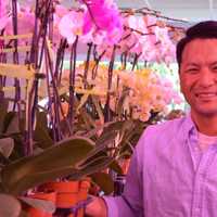 <p>Rueben Kim, the orchid hunter.</p>