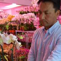 <p>Rueben Kim tending to orchids.</p>