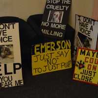 <p>Protest signs outside the council chambers.</p>