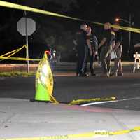 SEE ANYTHING? Pickup Driver Sought In Hit-And-Run Death Of Hawthorne Pedestrian, 83