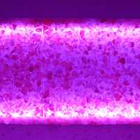 <p>A band of salts around a salt room gleams purple.</p>