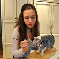 Bergen County Cake Artist Makes TV Debut On New 'Food Network' Series