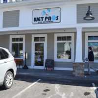 <p>Wet Paws Dog Grooming of Trumbull</p>